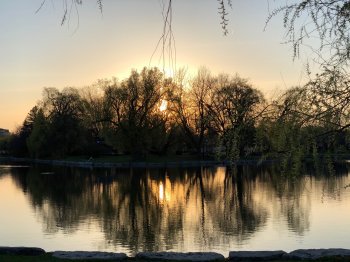 IMG_0320 copy2.jpg