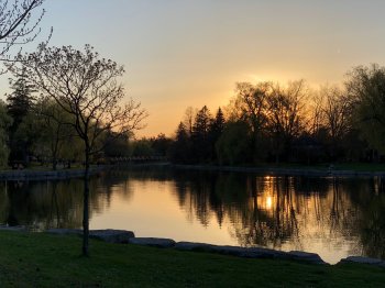 IMG_0321 copy2.jpg