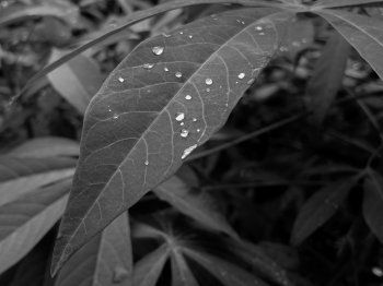 C5BF4CC2-9038-4A2B-9977-F64A739D6A75.jpeg