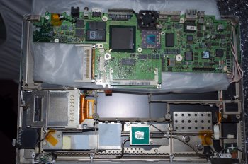 DSC_0082.jpg