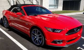 mustang.jpg
