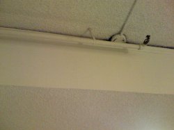 IMG_0017.JPG