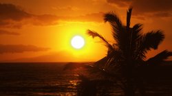 sunset.jpg