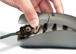 mouse.jpg