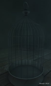 Cage.jpg
