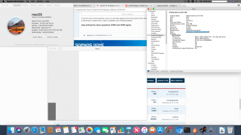 Screen Shot 2018-06-14 at 12.30.09 AM.png