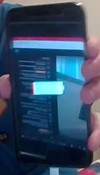 fake3.JPG