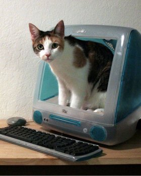 What Could I Use An Imac G3 For Today Macrumors Forums