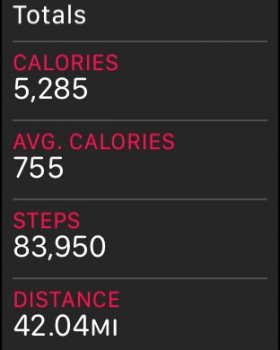 STEPS.png