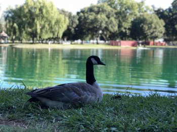 30B4246F-B3DF-4CAD-8F12-21D2A3271D8B.jpeg