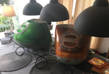 Tangerine and Lime.jpeg