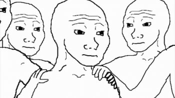 tfw-1.jpg