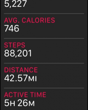 STEPS.png