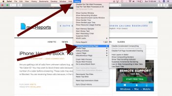 safari-debug.jpg