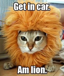 getincaramlion.jpg