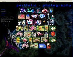 Untitled-1.jpg