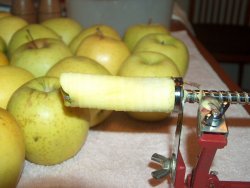AppleCore-765046.jpg