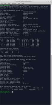 Kingston A1000 smartctl.png