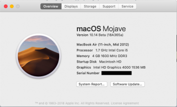 Screen Shot 2018-08-15 at 11.02.54 AM.png
