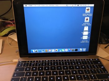 IMG_6565.jpg IMG_6565.jpg