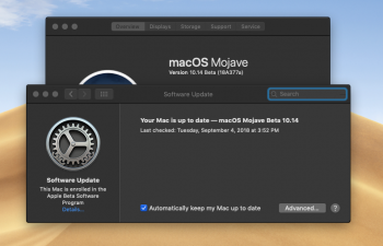 Screen Shot 2018-09-04 at 3.54.58 PM.png