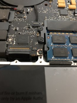 B2945424-41E2-4B26-896F-E3C42C6E8077.jpeg