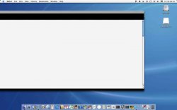 safari.jpg