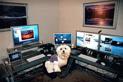 mac-setuptrouble.gif