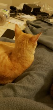 20180922_230841.jpg