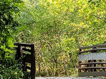 IMG_20180921_1Pix.jpg