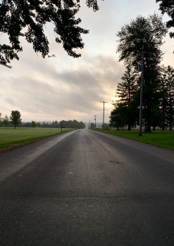 IMG_0485.jpg