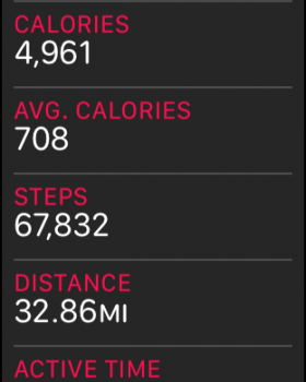 steps.png