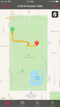 park1.png park1.png