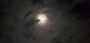 20180925_023834.jpg