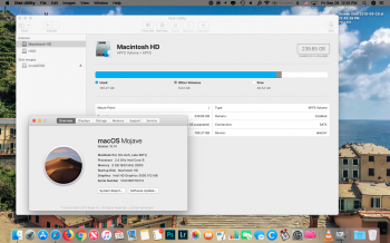 Screen Shot 2018-09-28 at 12.51.59 PM.png