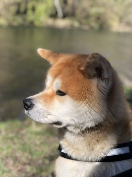 8F418464-B656-4141-BF5B-6AA0335E6E86.jpeg