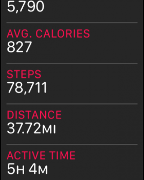STEPS.png