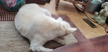 20181007_140659.jpg