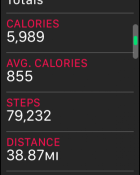 STEPS.PNG