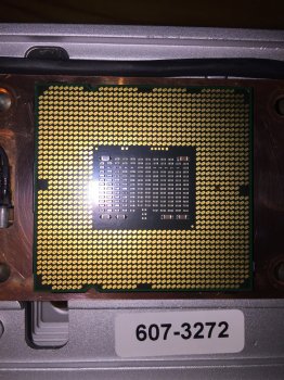IMG_0156.jpeg