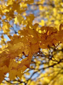 2272B41D-1423-4D5D-85BA-2D0EBB5C6733.jpeg