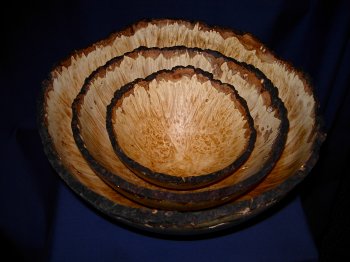 DSCN1313.JPG