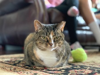 IMG_0099.jpeg