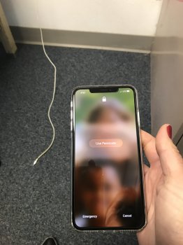B793477B-09ED-463E-BB35-C7D3C69B4E28.jpeg