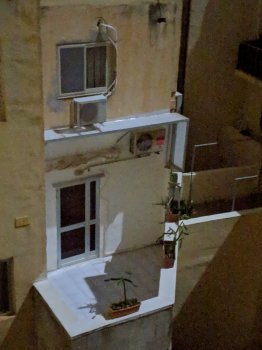 IMG_20181026_001740.jpg