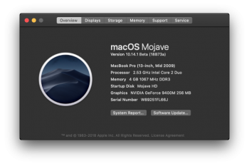 Screen Shot 2018-10-27 at 12.59.32 PM.png