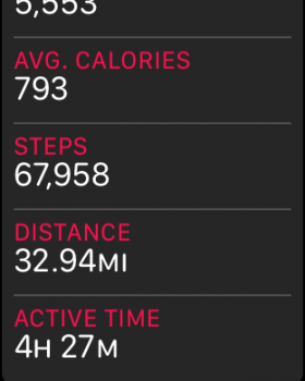 steps.PNG