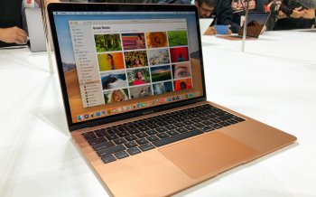 335500.jpg