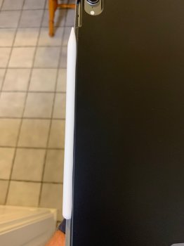 IMG_5627.jpeg