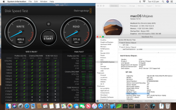 Screen Shot 2018-11-13 at 4.33.52 pm.png